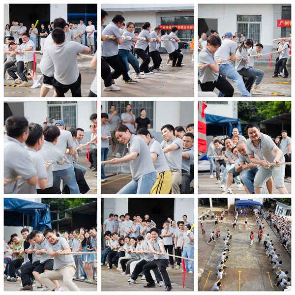 賽場逐鹿，團隊爭雄